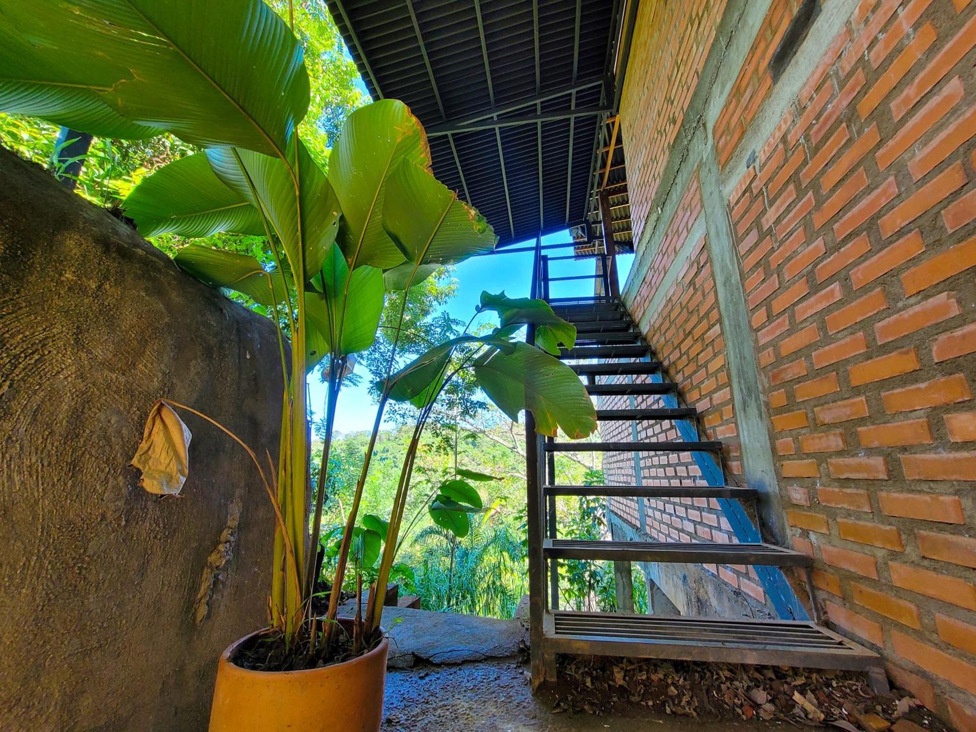 Hostel Pistacho Minca Exterior foto