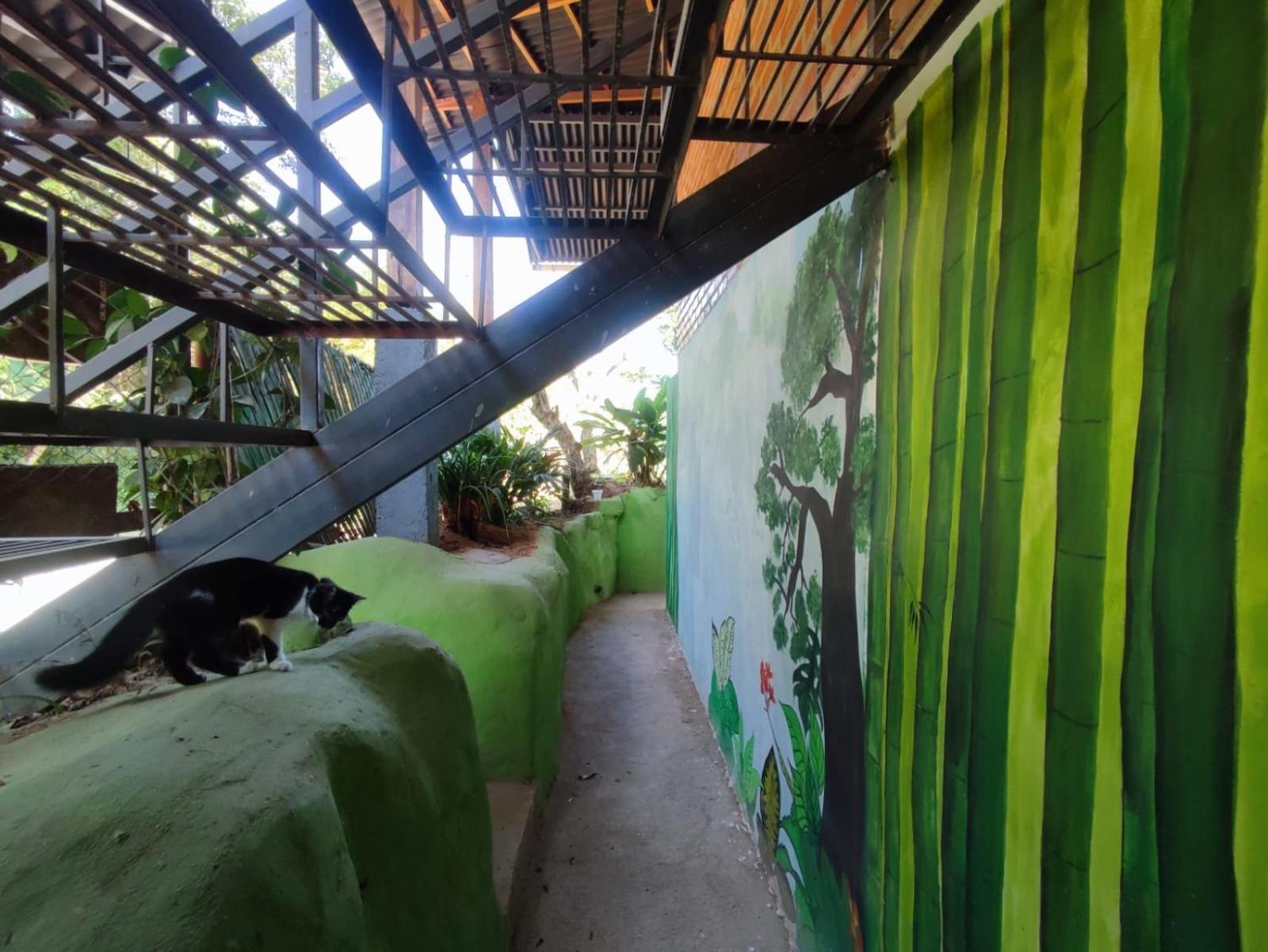 Hostel Pistacho Minca Exterior foto